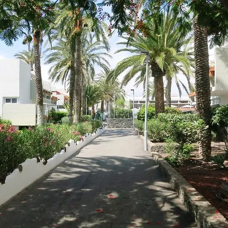 South Tenerife 471