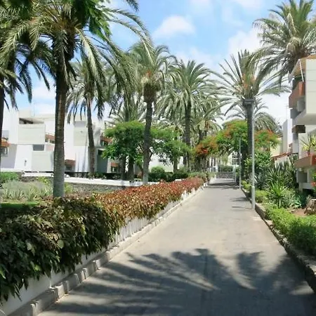South Tenerife 471