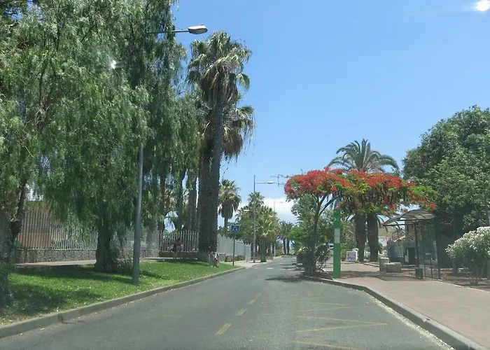 South Tenerife 471 طوستا ديل سيلونثيو