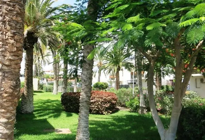 South Tenerife 471 Appartement *